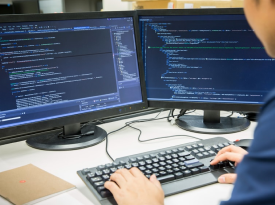 Software support – Onsite