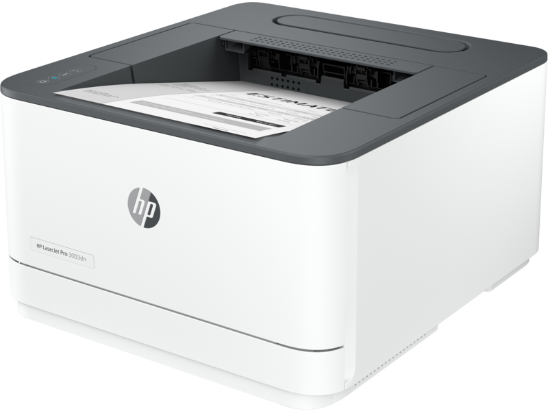 HP LaserJet Pro 3003dn Printer - 3G653A