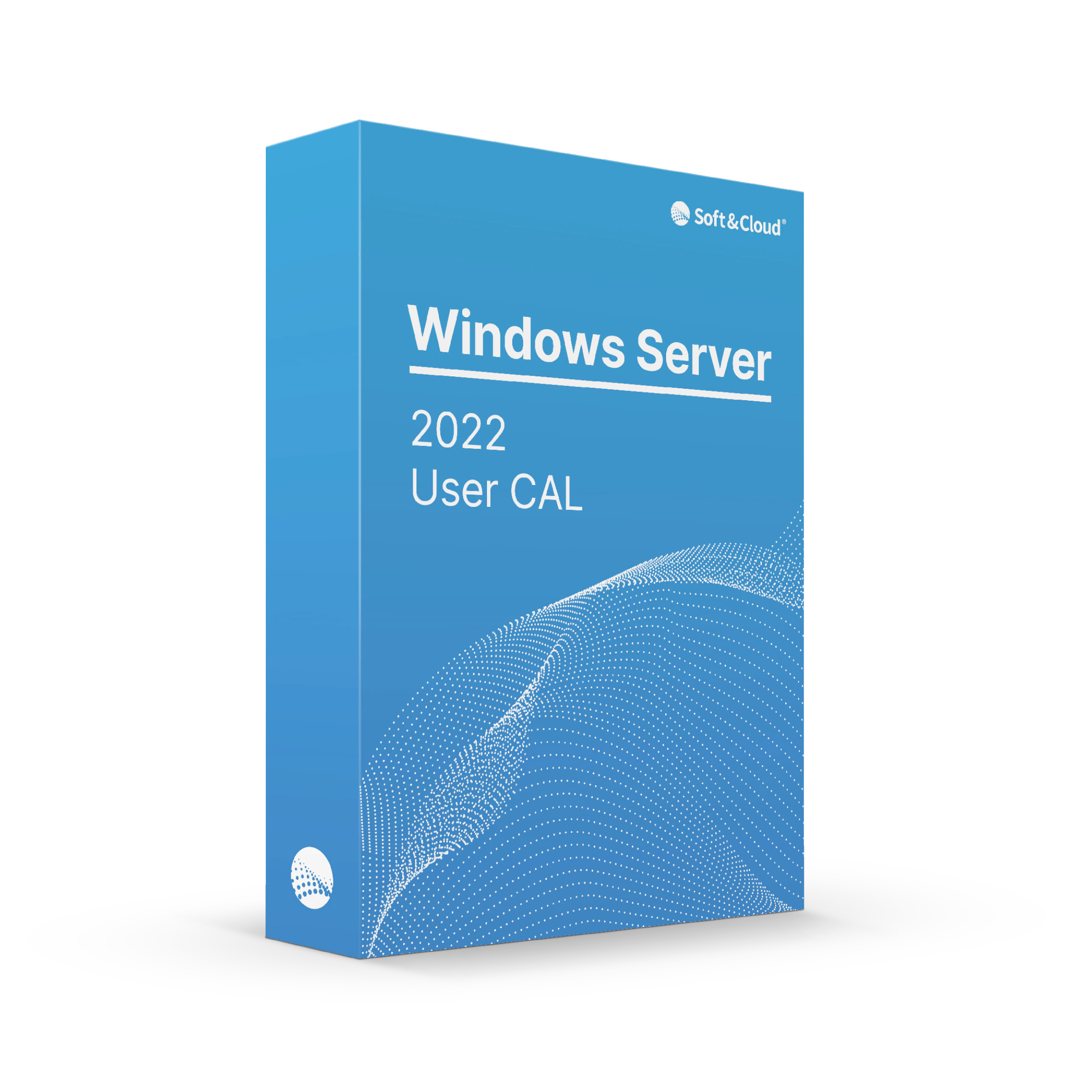 MS Windows Server 2022 - 1 User CAL - DG7GMGF0D5VX