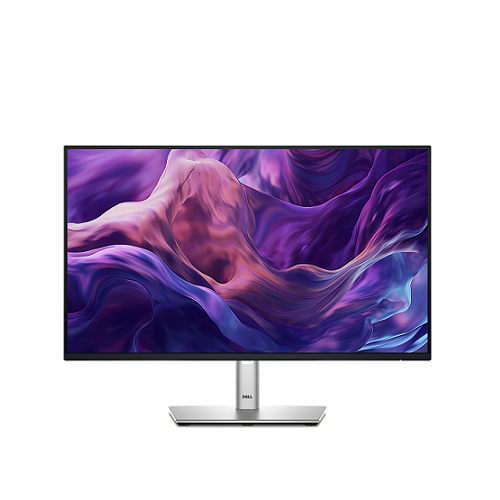 Dell 24 Monitor - P2425HE