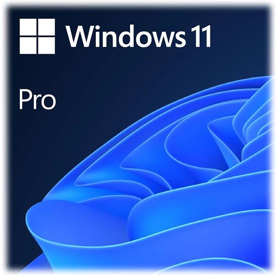 MS WIN 11 PRO OEM - FQC-10528